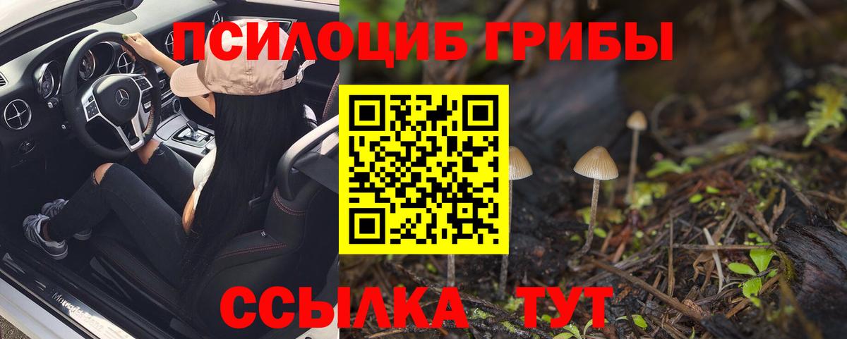 Галлюциногенные грибы MAGIC MUSHROOMS  Вход с VPN  Семёнов  Псилоцибиновые грибы Psilocybine cubensis 